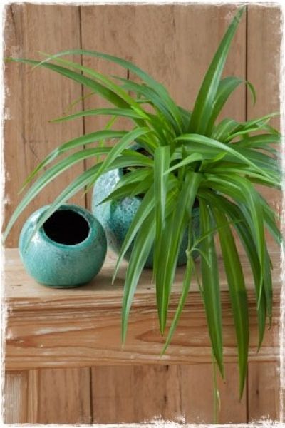 bloempot-hangplant-blauw-rond-landelijke-brocante-webwinkel-janenjuup