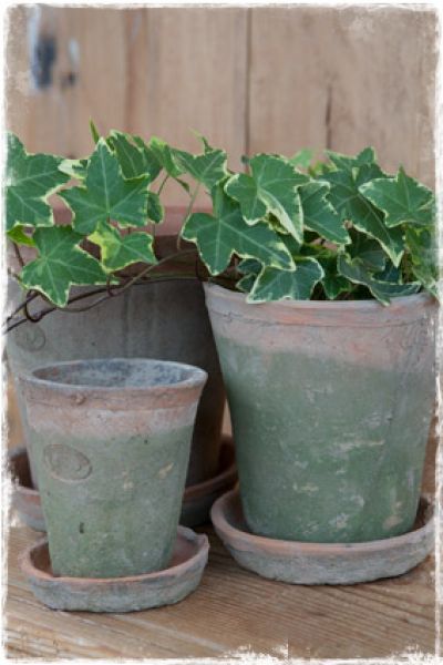 schotels-bloempotten-terracotta-plantenbakken-potten-buiten-landelijke-brocante-tuindecoratie-webwinkel-janenjuup