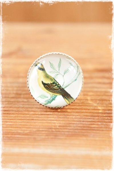 deurknopje vogel geel wit clayre & eef 30mm 