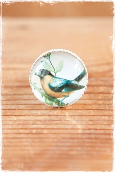 deurknopje vogel oranje blauw wit clayre & eef 30mm 