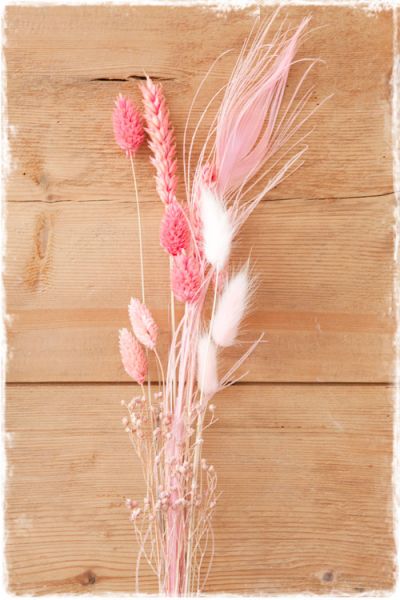 droogbloemen boeketje roze pauwenveer