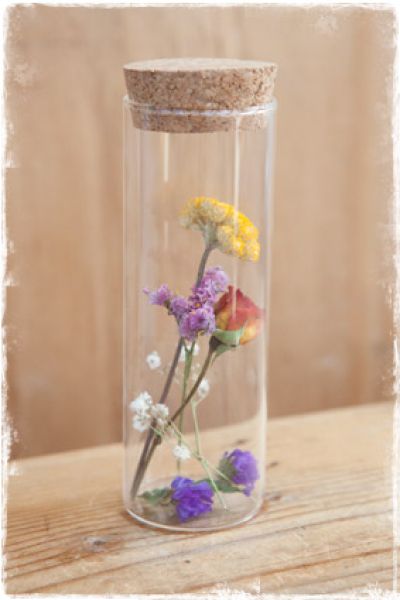 droogbloemen in tube met kurk dop 14cm