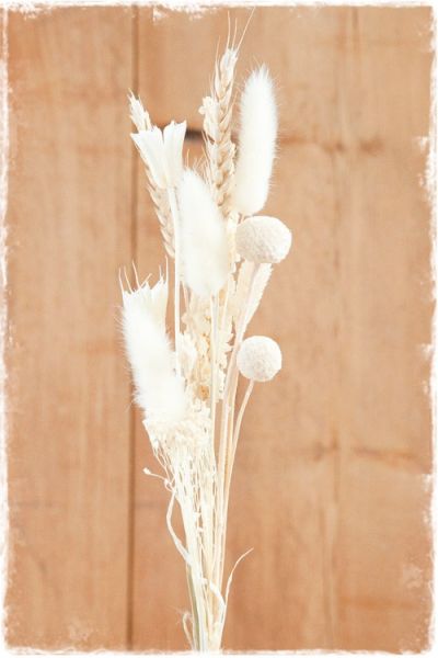droogbloemen wit mini bosje 30cm