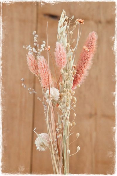droogbloemen zalm roze mini boeketje 30cm