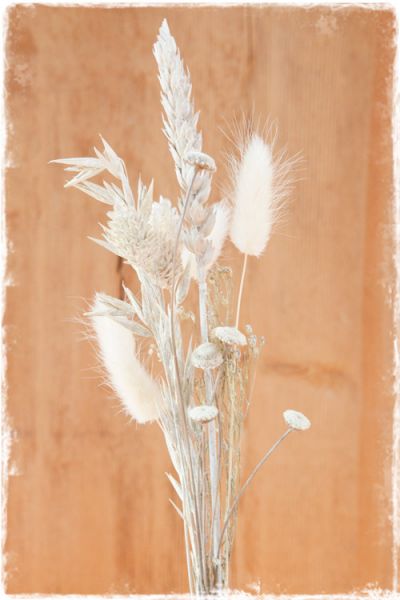 droogbloemen wit mini bosje 30cm