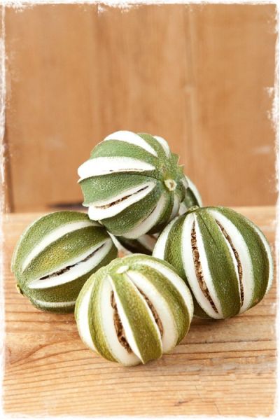 gedroogde sinaasappels groen als decoratie voor kerst