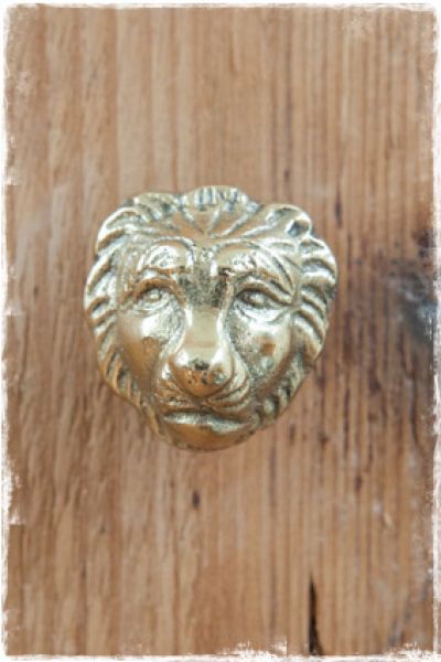 gouden ladeknop leeuwenkop