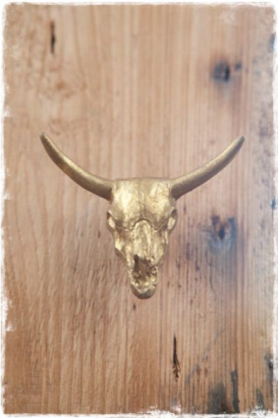 gouden knop skull buffalo