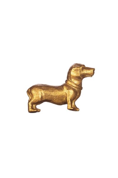 gouden knop teckel hond