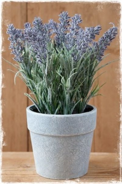 lavendel-plant-paars-bloempotje-zijden-plant-online-kopen-webwinkel