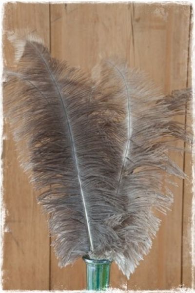 veer-struisvogel-decoratie-woonaccessoires-landelijke-brocante-webwinkel-janenjuup