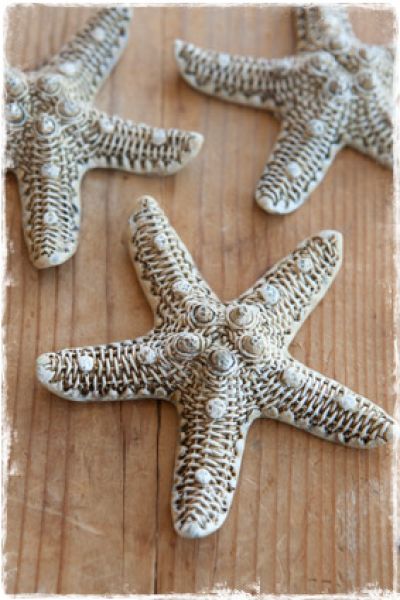 zeester-polystone-decoratie-beach--janenjuup-landelijke-brocante-woonaccessoires-webwinkel