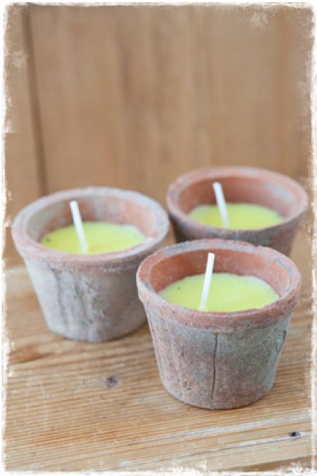 citronella kaarsjes in terra cotta potjes